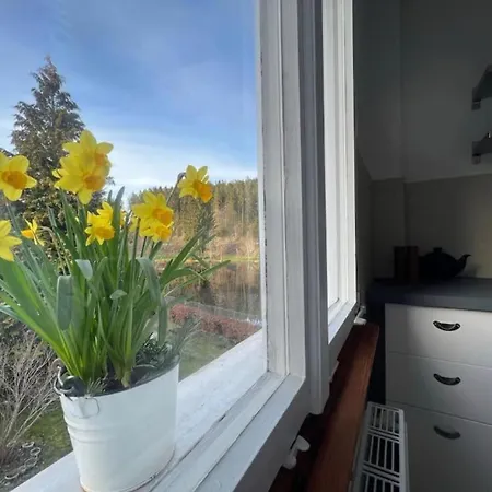 Nyaraló Haus Am